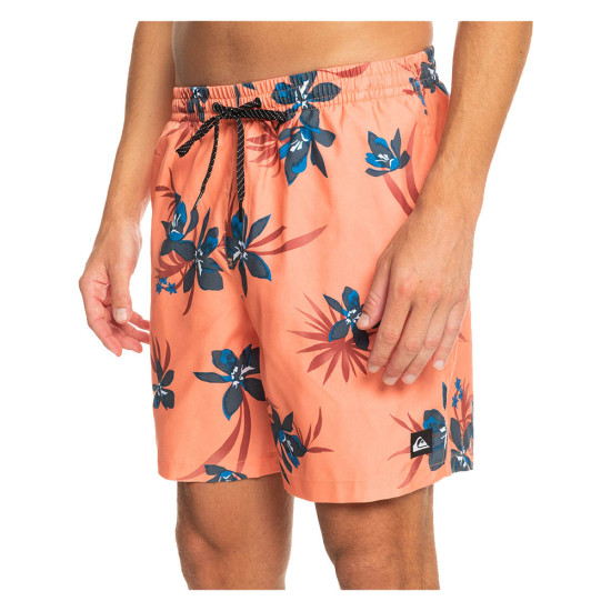 Quiksilver Ανδρικό μαγιό Everyday Mix 17" - Swim Shorts for Men